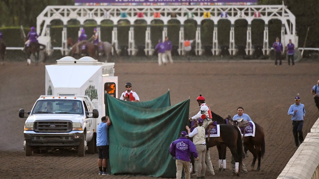 Tragedy strikes Breeders' Cup at Santa Anita despite reform